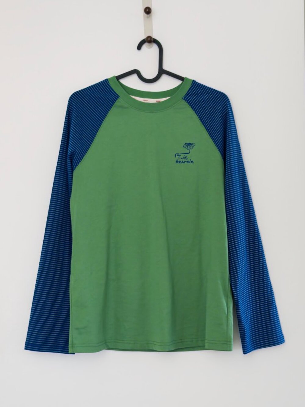 Retro Green & Striped Blue Raglan Long Sleeve Shirt, Cotton, Graphic pattern